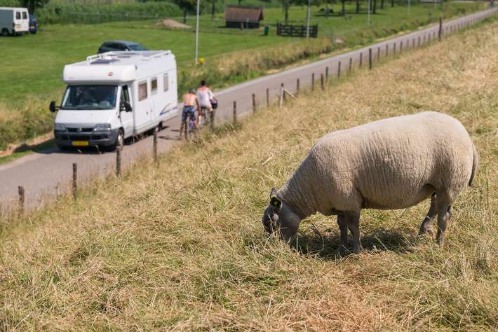 camping-t-weergors-hellevoetsluis