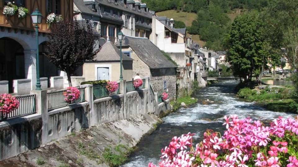 Frankrijk en Spanje-pyreneeën-spance-rivier-witte-huizen-roze-bloemen-berg