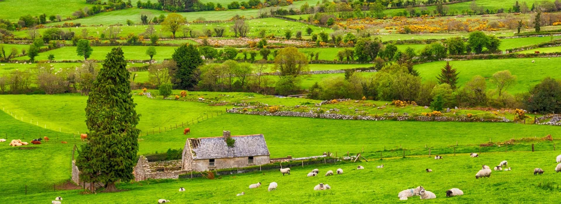 Ierland-header2_istock-ierland-donegal-landschap-groen