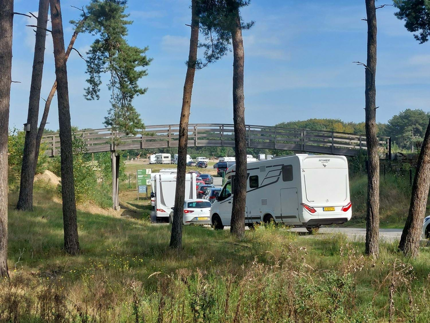 Campers in Beekse Bergen