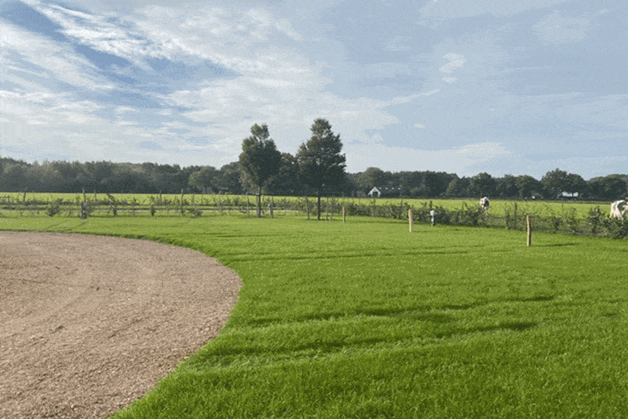Nieuwe camperplaatsen september 2022 - Mieke's Hof Camperplaats en boerderijwinkel, Hoeven