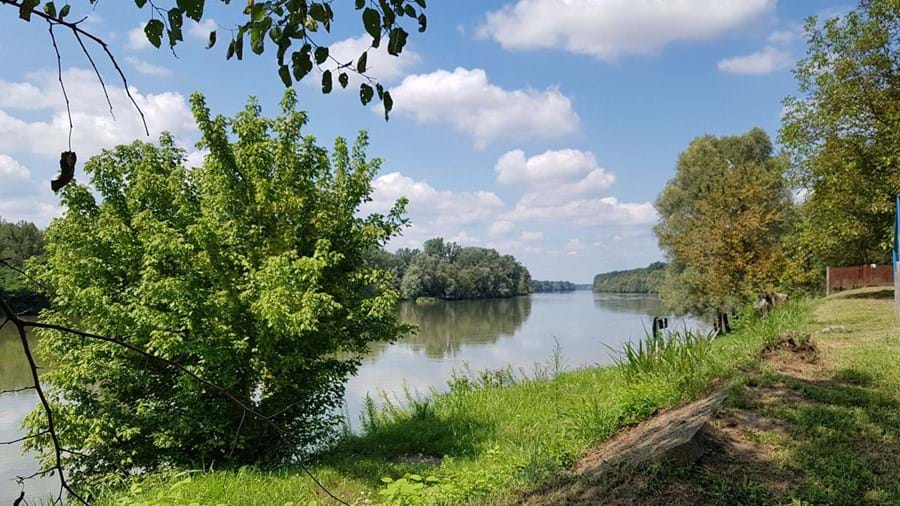 Rivier de Drava in Felsoszentmarton - Hongarije