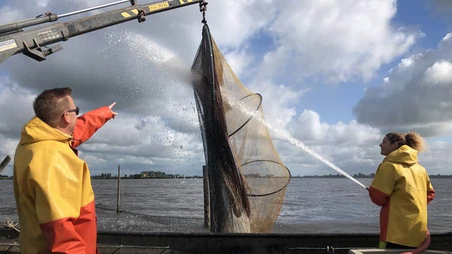 paling vissen friesland mensen