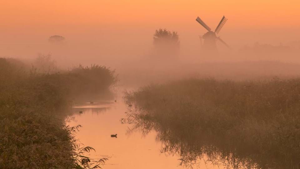 istock-polderlandschap-met-windmolen-zonsopgang-mist