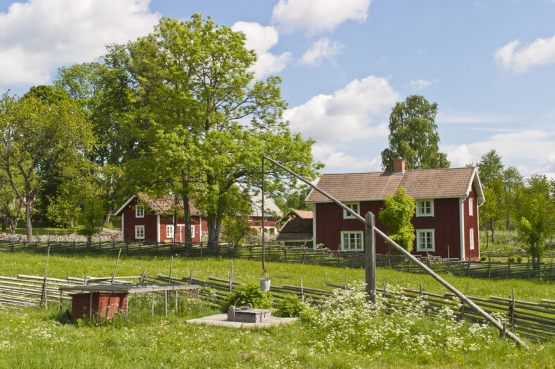 Countryside landscape