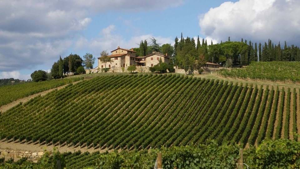 italië-romantisch-toscane-chianti-wijngaard