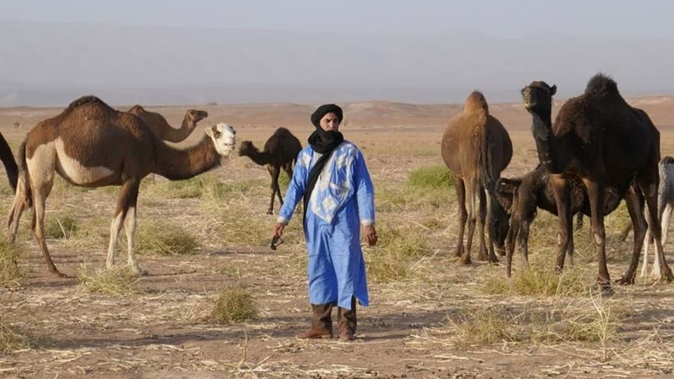 marokko-arabisch-marokko-man-kamelen