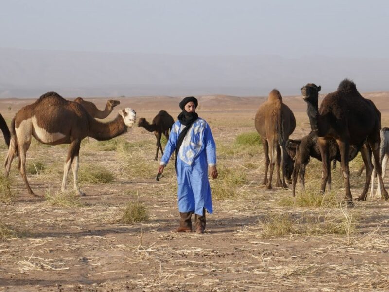 marokko-man-kamelen