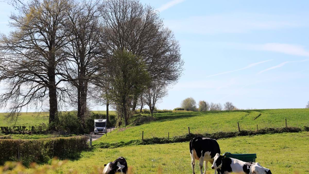 Onderweg In Limburg