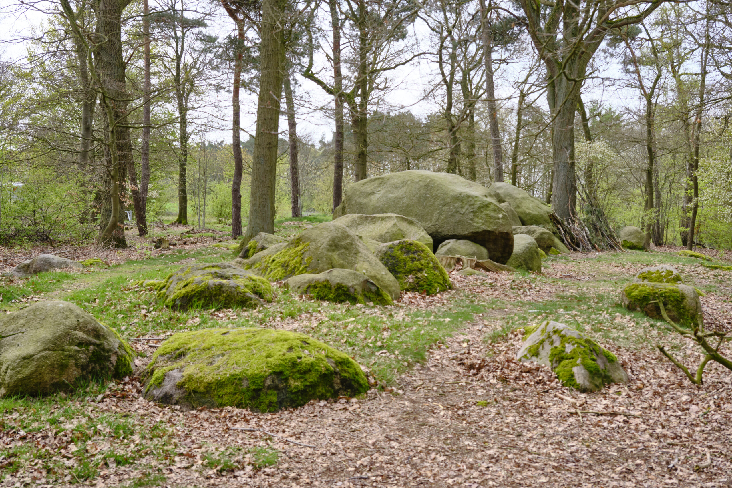 duitse-hunebedden-mehringer-steine