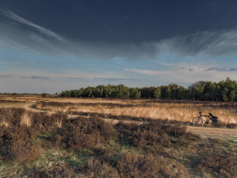 Strabrechtse Heide