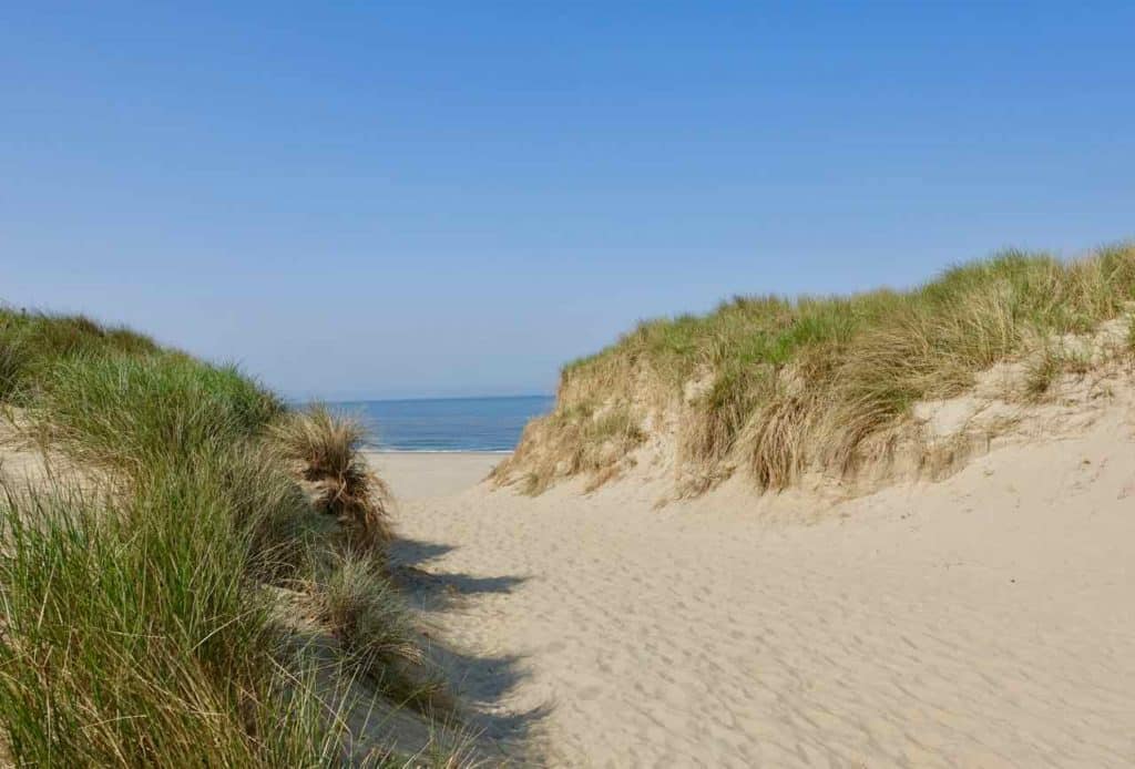 Texel duinen strand natuur