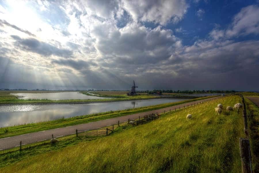Hollands landschap op Texel met molen en schapen