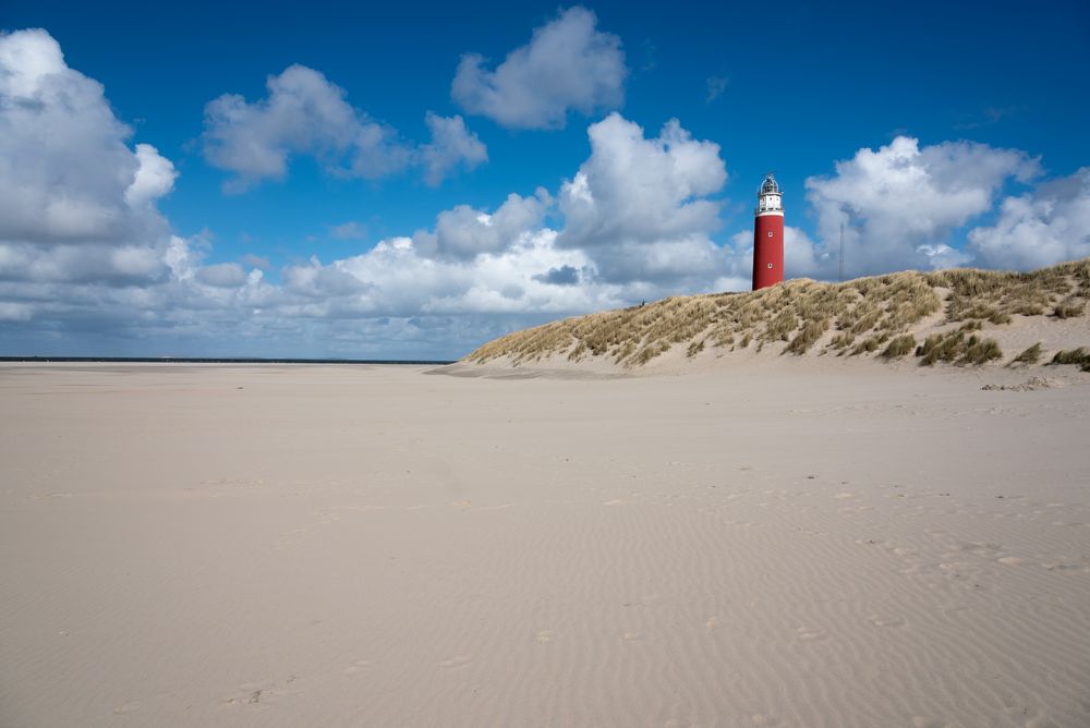 texel-3-4