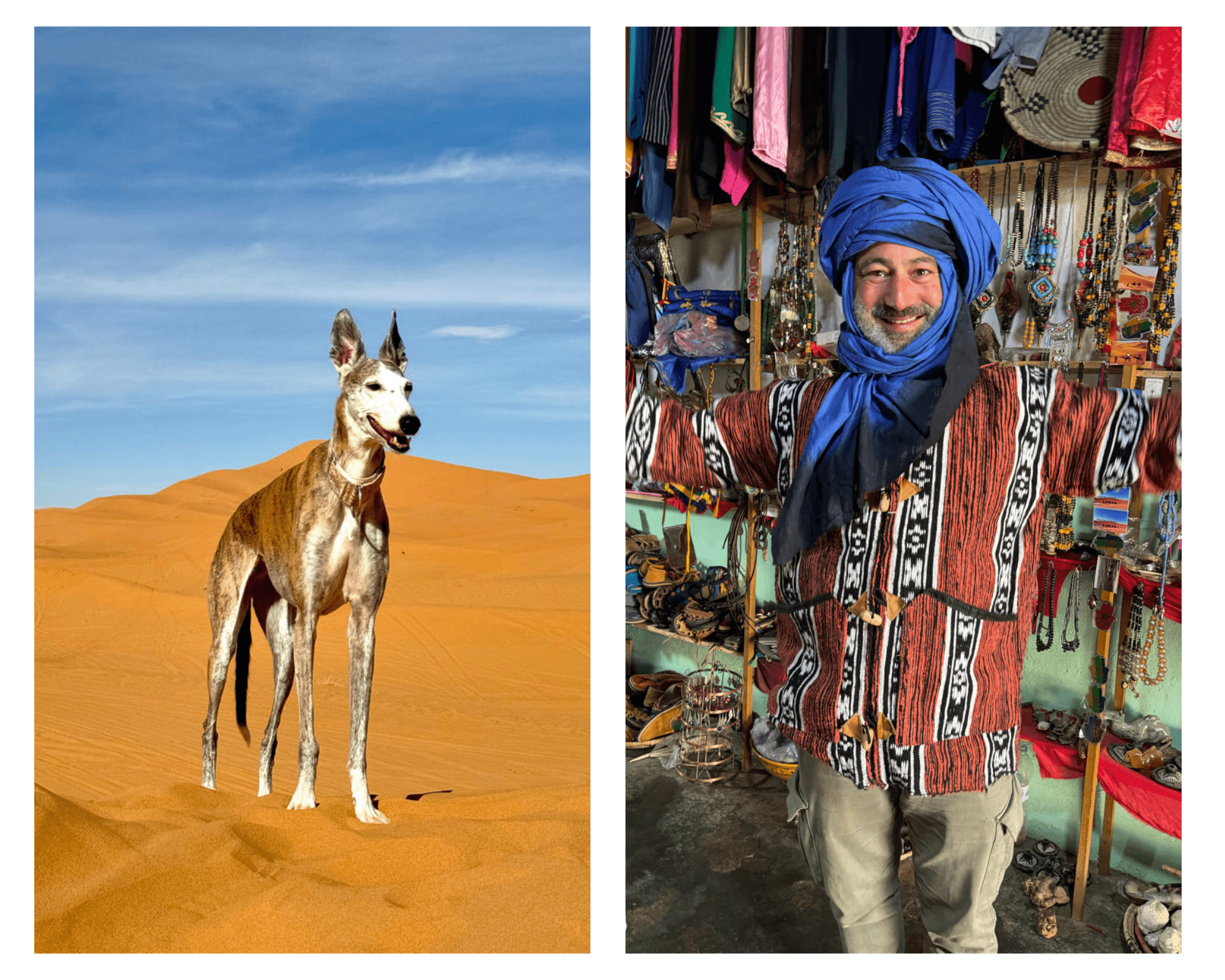 hond in de Marokkaanse woestijn en traditionele kleding