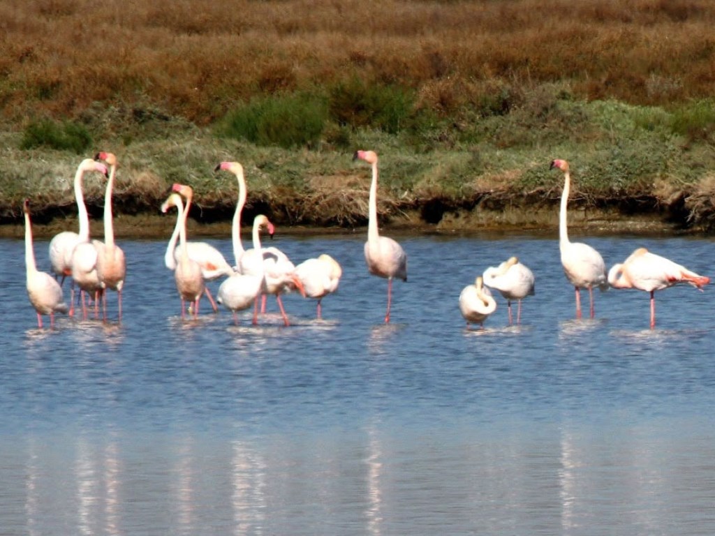 ebrodelta-stad-en-natuur