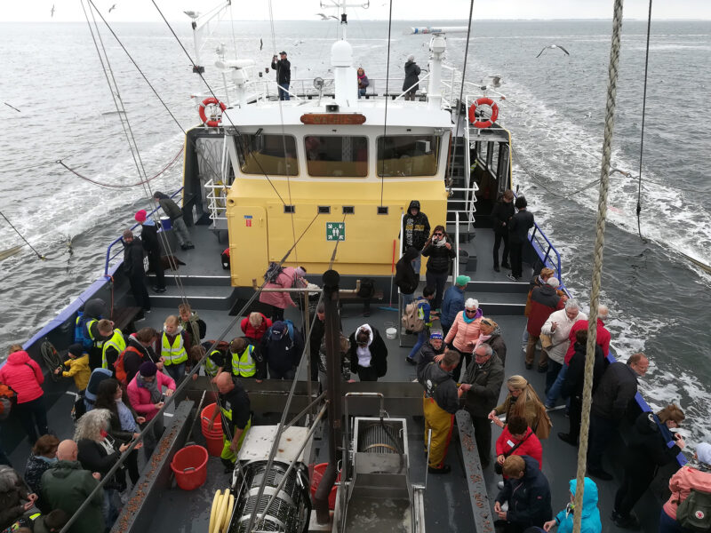 puur-natuur-texel-img_20190522_120725