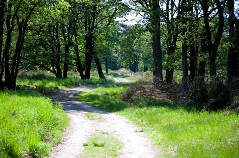 Nationaal Park De Meinweg