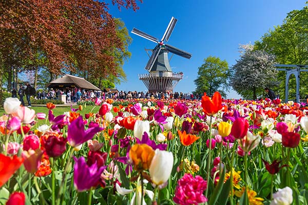 Keukenhof - bollen in bloei