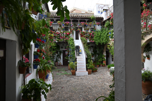 Patio, Calle San Basilio Cordoba, Spanje